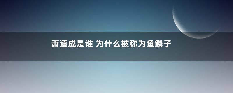 萧道成是谁 为什么被称为鱼鳞子